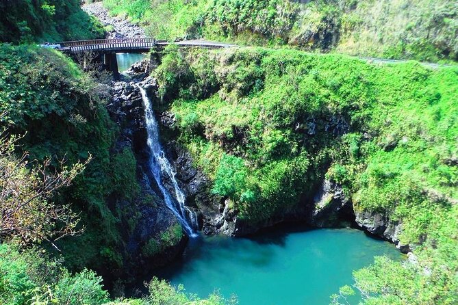 Road to Hana Private Jungle Tour with Lahaina Side pick up - Garden of Eden for plants and early views