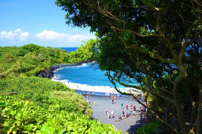 Road to Hana Rainforest, Black Sand Beach, Waterfalls & Lunch - Rainbow eucalyptus, Honomanu, and the ride home