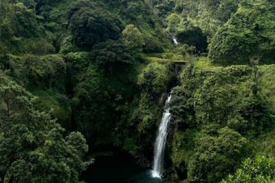 Road to Hana Small-Group, Waterfalls, Black Sand Beach & Pickup