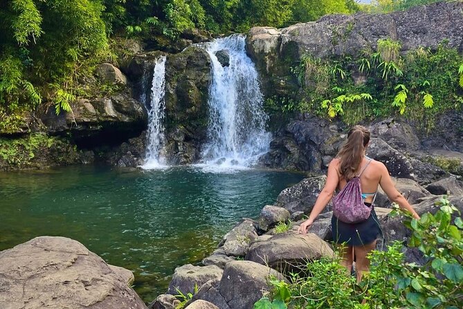Road to Hana Small-Group, Waterfalls, Black Sand Beach & Pickup - Guides, driving, and the human side of the trip