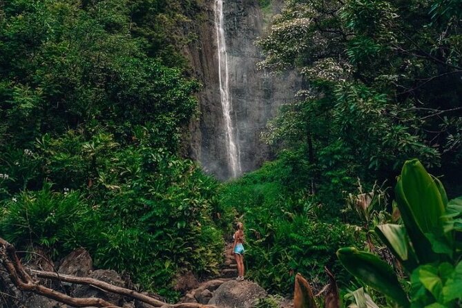 Road to Hana Tour - Best of Maui - What the guides add to the day