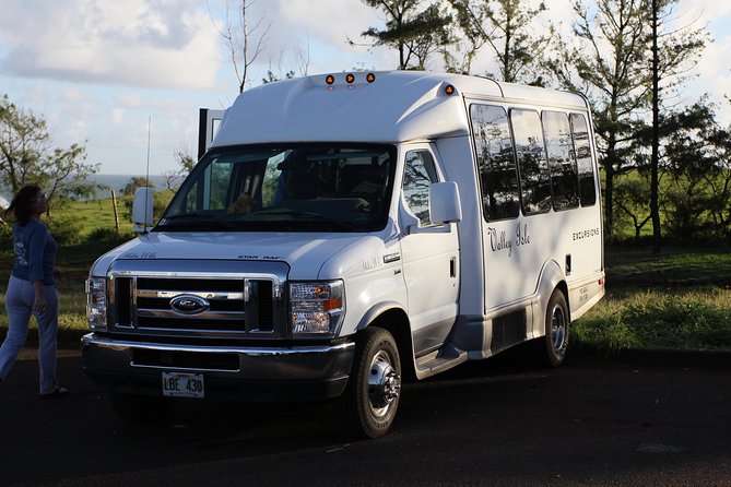 Road to Hana Tour with Lunch and Pickup - Pua‘a Ka‘a offers a cold freshwater swim