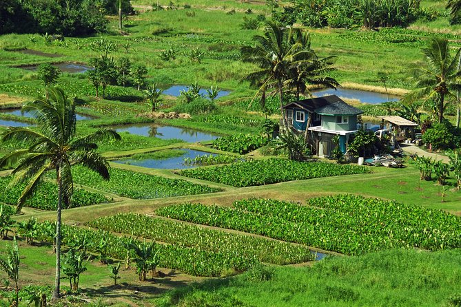 Road to Hana Tour with Lunch and Pickup - Lunch is useful, but set your expectations