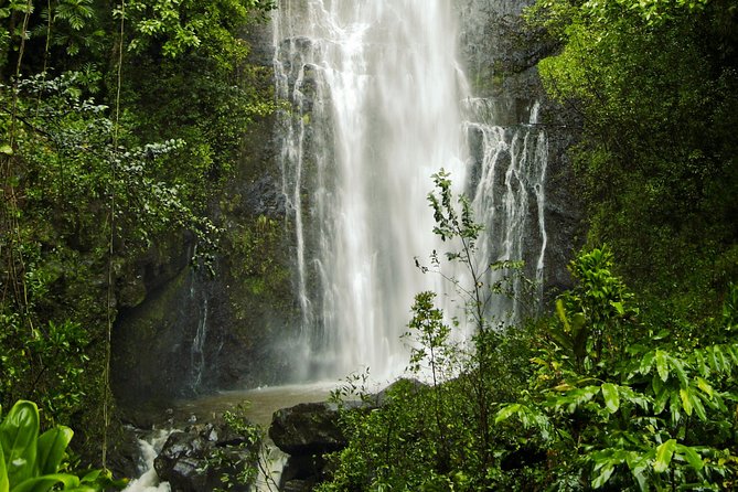 Road to Hana Tour with Lunch and Pickup - What $293.99 buys you