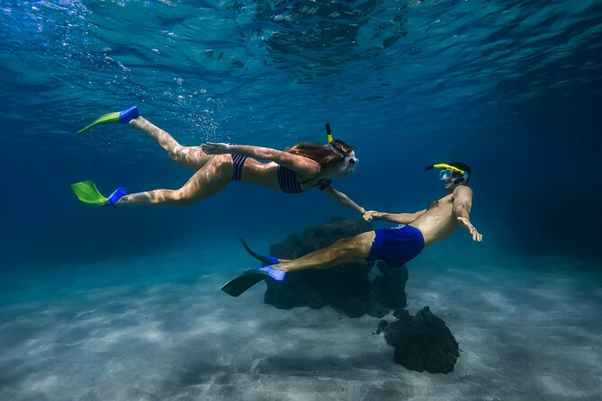 Scenic Coastal Adventure In 4x4 With Turtle Town Snorkel + Photos - Key points to know before you book
