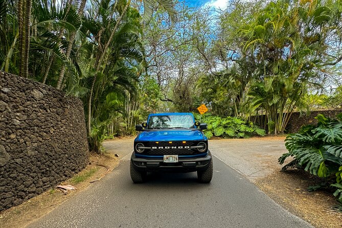 Scenic Coastal Adventure In 4x4 With Turtle Town Snorkel + Photos - The guide can make or break the day