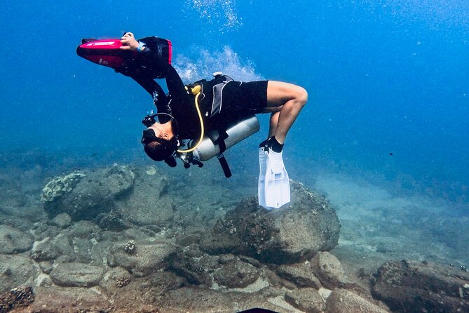 Scuba Diving in Maui with No Experience Needed - A gentle first step into Maui’s underwater world
