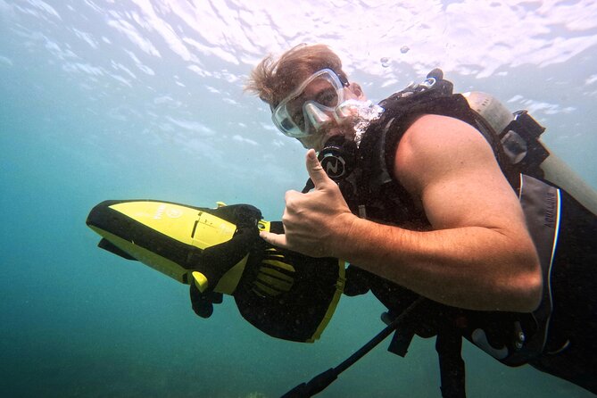 Scuba Diving in Maui with No Experience Needed - Is $199 a fair price?