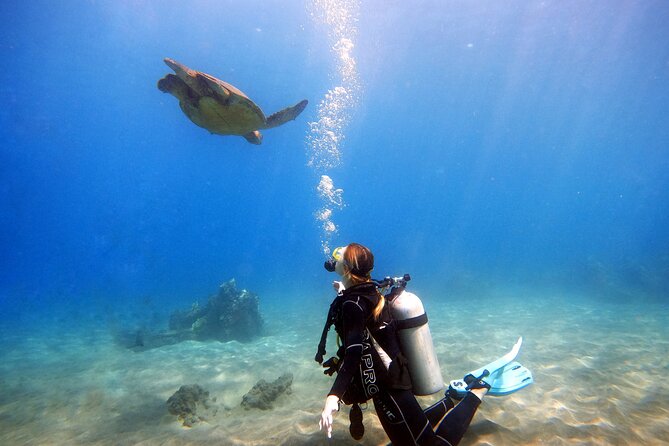 Scuba Diving in Maui with No Experience Needed - Why the small group matters underwater