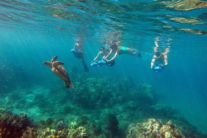 Sea Scooter Snorkeling Tour with GoPro - Wailea Beach - What the $149 price buys you at Wailea