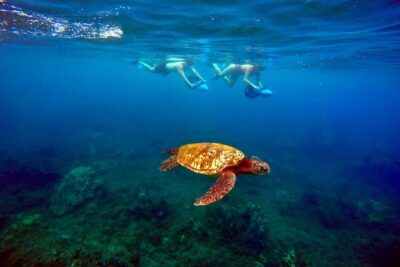 Sea Scooter Snorkeling Tour with GoPro – Wailea Beach