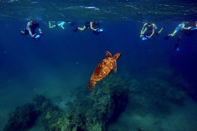 Sea Scooter Snorkeling Tour with GoPro - Wailea Beach - What the underwater time feels like