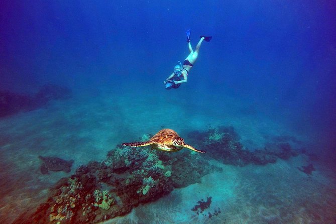 Sea Scooter Snorkeling Tour with GoPro - Wailea Beach - The people who will enjoy this most