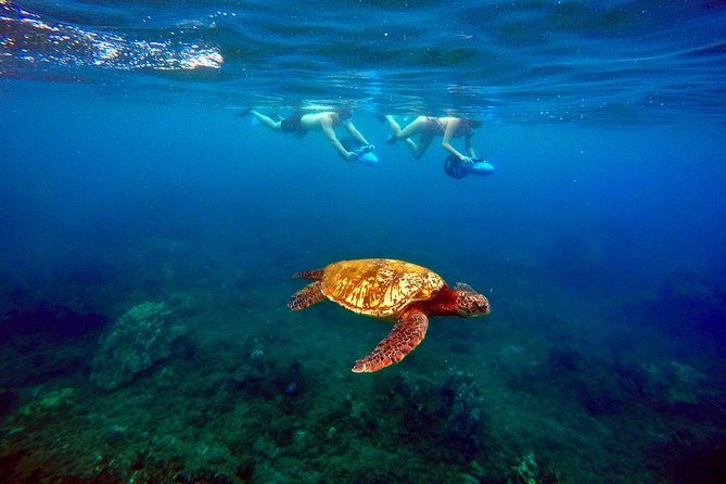 Sea Scooter Snorkeling Tour with GoPro - Wailea Beach - Starting at 3894 Wailea Alanui Drive