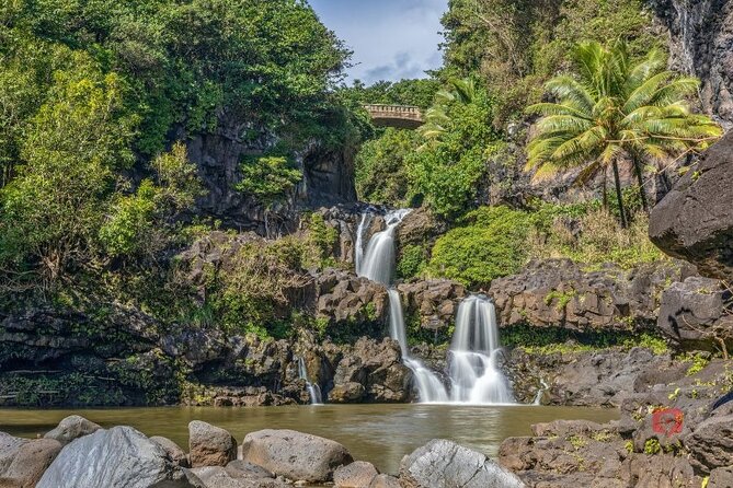 Self-Guided Audio Driving Tour in Road To Hana - See Ke‘anae’s plants, taro terraces, and coastal point