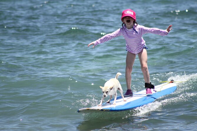 Semi Private Surf Lesson 4 Students 1 Instructor - What Your 90 Minutes Looks Like