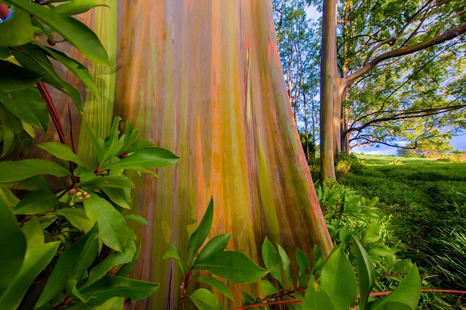 Shaka Guide Maui "Classic" Road to Hana Audio Driving Tour - Hana Town, red sand, and the southern coast