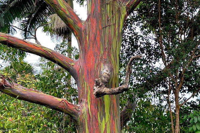 Shore Excursion of Maui - Starting at Kahului with a cruise schedule in mind