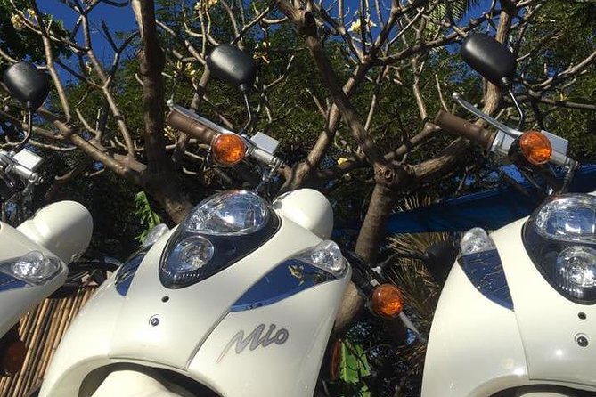 Single Passenger Moped/Scooter - 18+ NO Motorcycle License Needed - The main drawbacks to weigh
