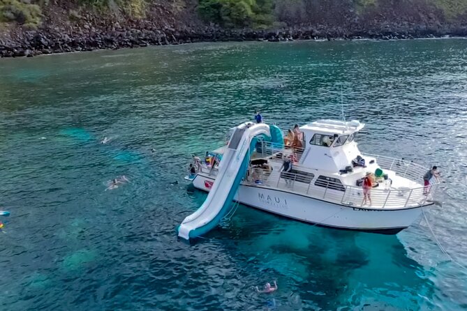 Small Group Coral Gardens Snorkel & Waterslide Adventure - What happens at Coral Gardens