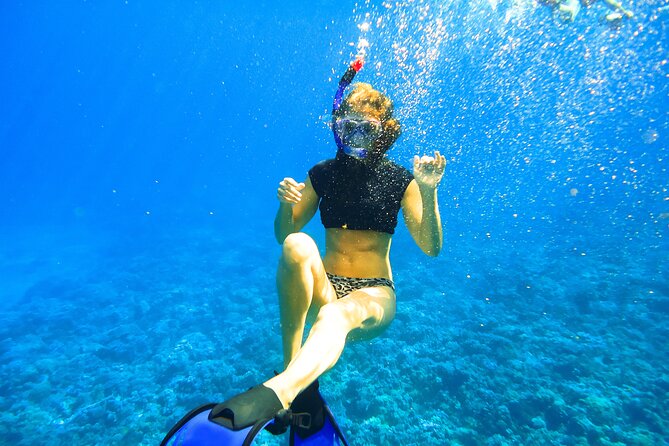Small Group Coral Gardens Snorkel & Waterslide Adventure - The waterslide is fun, but use good judgment