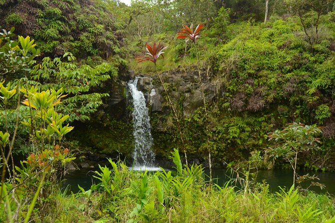 Small-Group Road to Hana Luxury Tour - Keʻanae Point and a working Hawaiian setting