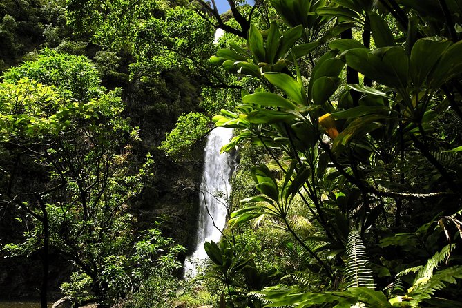 Small-Group Road to Hana Luxury Tour - Hana itself is more than a destination