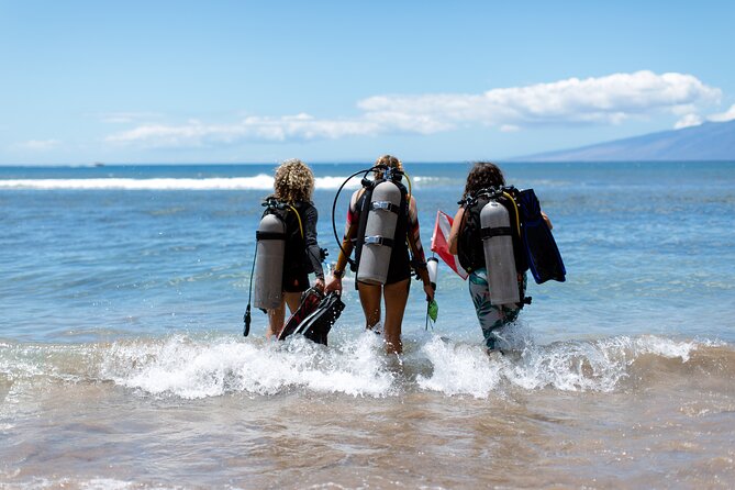 Small-Group Shark and Turtle Dive for Certified Divers - Why Mala Wharf is Maui’s star shore site