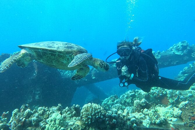 Small-Group Shark and Turtle Dive for Certified Divers - The value of $135.80 per person