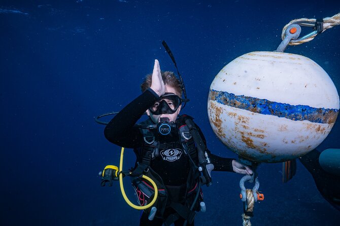Small-Group Shark and Turtle Dive for Certified Divers - A closer look at the shore entry