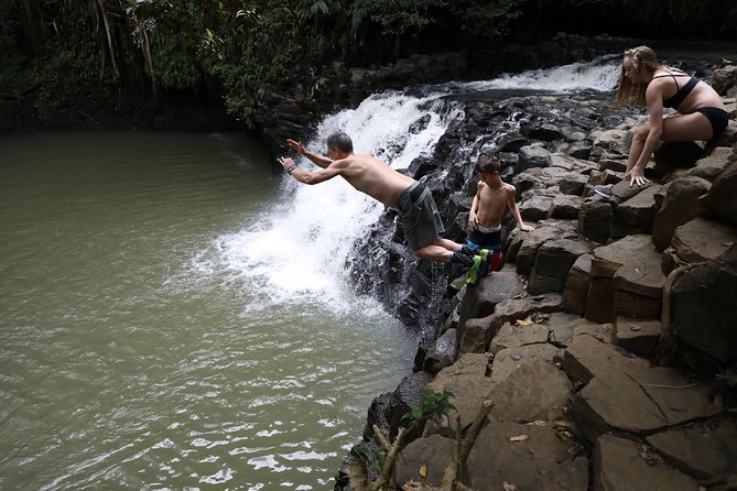 Small Group Waterfall and Rainforest Hiking Adventure on Maui - Waterfalls, swimming holes, and optional jumps