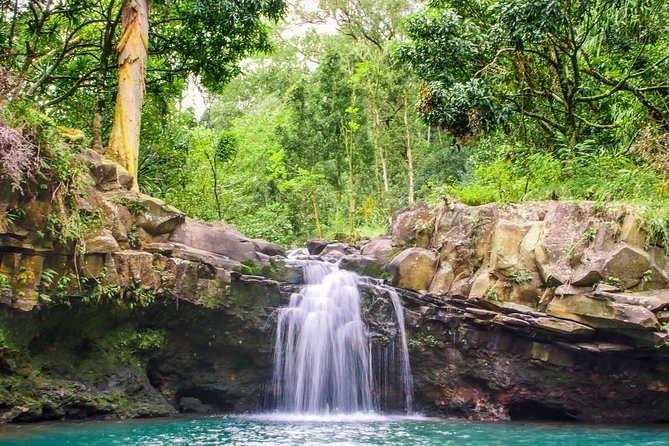 Small Group Waterfall and Rainforest Hiking Adventure on Maui - Timing, weather, and cancellation details