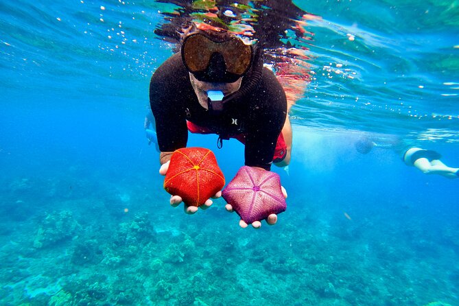 Snorkeling for Non-Swimmers with Photos Guided Tour Wailea Beach - Fish, coral, and sea turtles at Wailea Beach