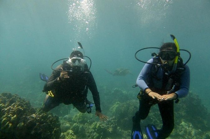 South Maui Discover Scuba Dive - What the $185 price includes