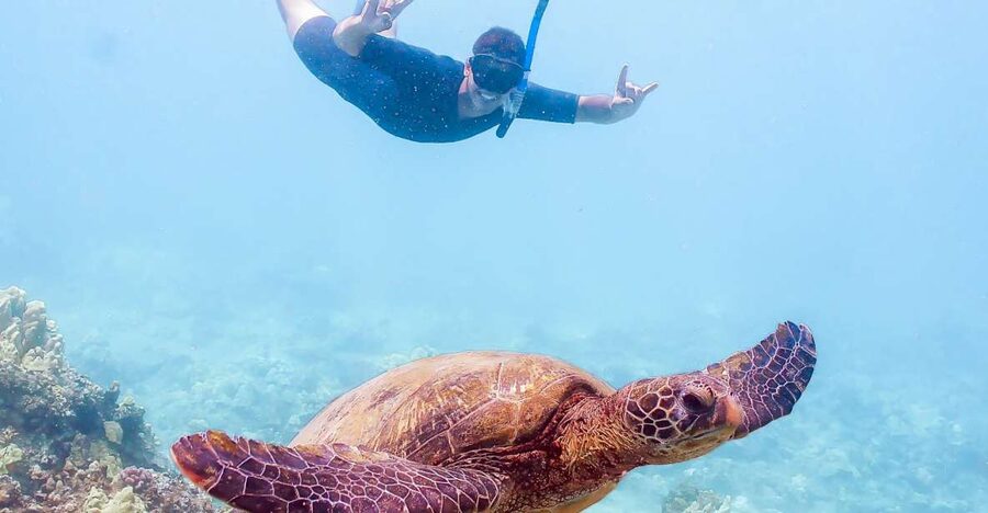 South Maui: Molokini Snorkeling Adventure - Why Molokini is the star of the morning