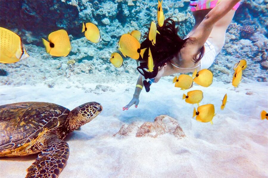 South Maui: Molokini Snorkeling Adventure - Lunch, drinks, and the return cruise