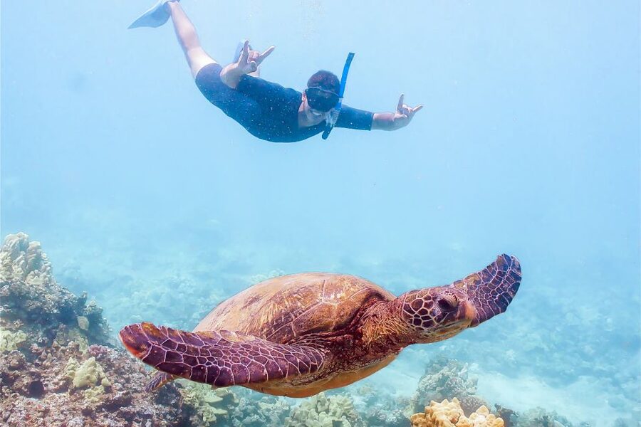 South Maui: Molokini Snorkeling Adventure - What the ride from Maalaea Harbor is like