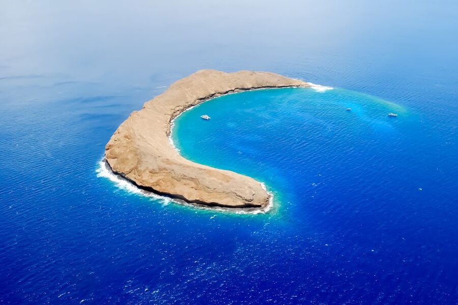 South Maui: Molokini Wild Eco Adventure from Maalaea Harbor - Key points to know before booking