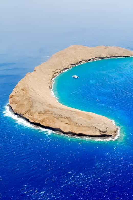 South Maui: Molokini Wild Eco Adventure from Maalaea Harbor - A five-hour Molokini outing with room to breathe