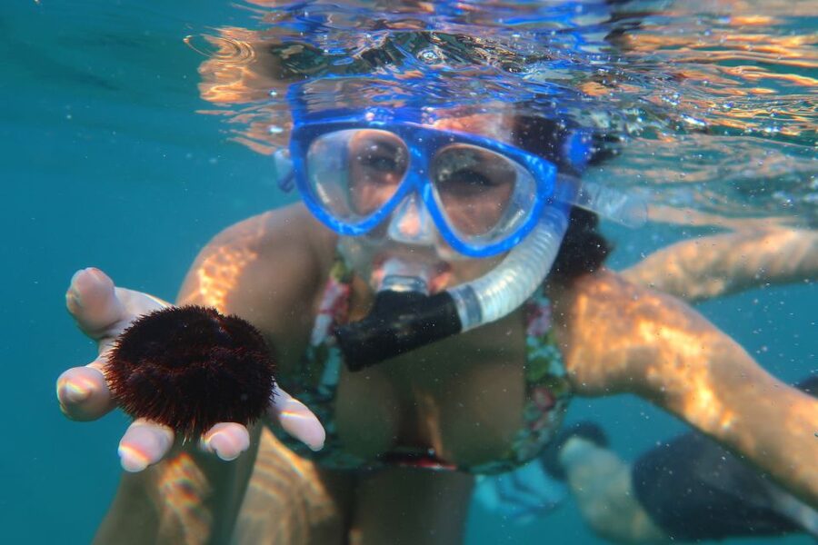 South Maui: Premium Turtle Town Kayak and Snorkel Tour - Turtle Town and the first snorkel stop