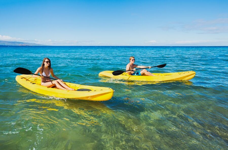 South Maui: Premium Turtle Town Kayak and Snorkel Tour - What the guides add to the experience