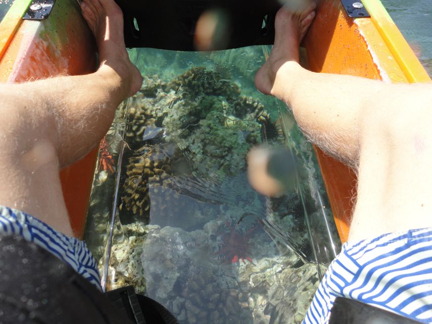 South Maui: Self Guided Clear Bottom Kayak Tour - Self-guided freedom, and its limits