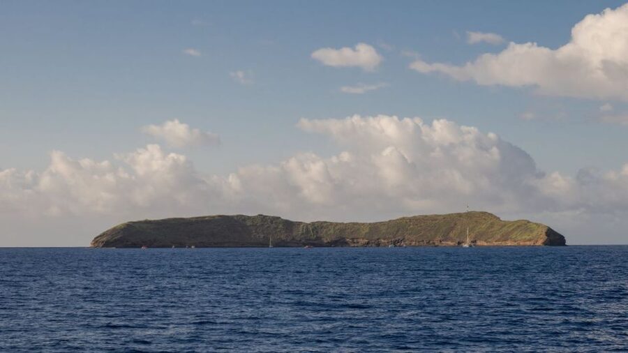 South Maui: Snorkel to Coral Gardens or Molokini Crater - Who should book this Maui snorkel cruise