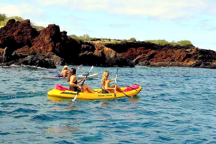 South Maui: Waterfall Tour w/ Kayak, Snorkel, and Hike - Snorkeling with Hawaiian Green Sea Turtles