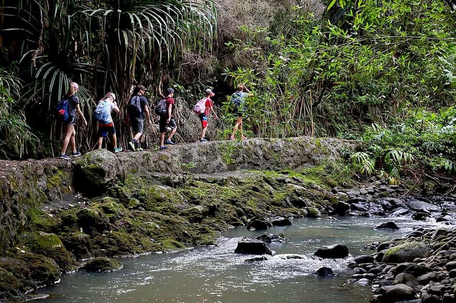 South Maui: Waterfall Tour w/ Kayak, Snorkel, and Hike - From salt water to Maui rainforest