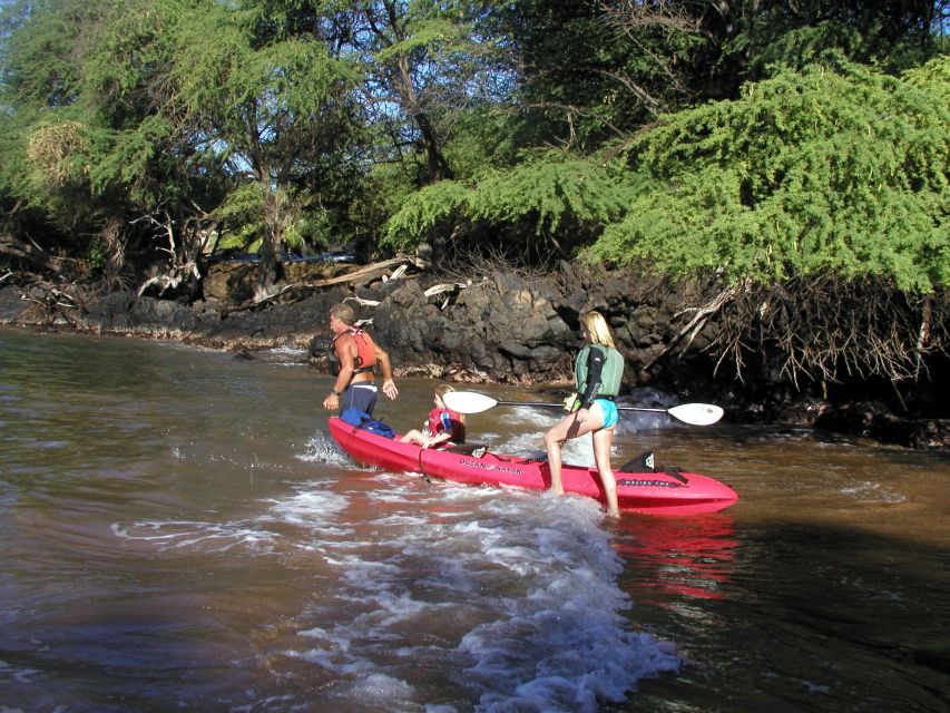 South Maui: Whale Watch Kayaking and Snorkel Tour in Kihei - Snorkeling along the Makena reef