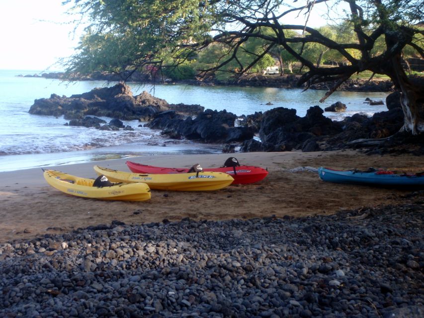 South Maui: Whale Watch Kayaking and Snorkel Tour in Kihei - What to bring and how to prepare