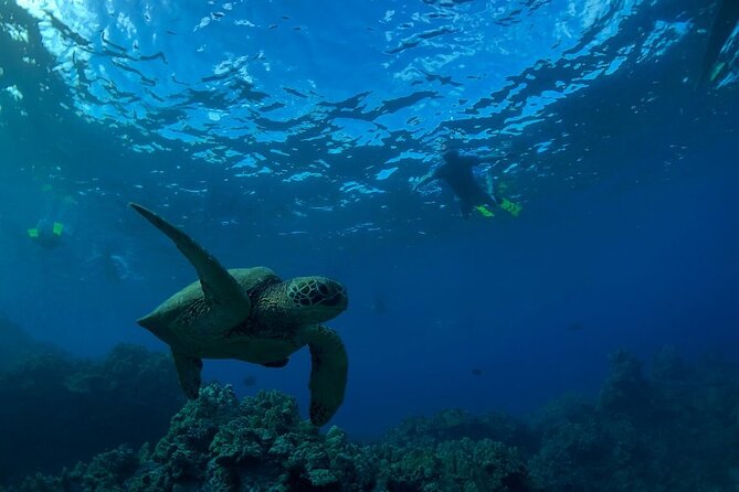 South Shore Turtle Kayak and Snorkel Experience - Kayaking out from Makena Beach