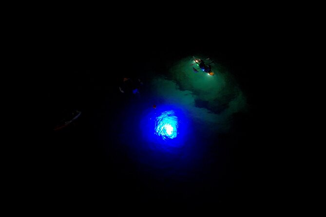Sunset/Glow Clear Kayak Tour in Olowalu - The reef changes when the lights switch on