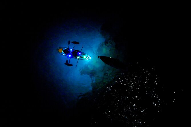 Sunset/Glow Clear Kayak Tour in Olowalu - What $239 buys you